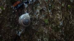 Madagaskar copyright piotr nogal 20191014_090307