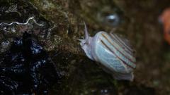 Madagaskar copyright piotr nogal 20191014_090331