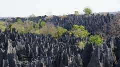 Madagaskar copyright piotr nogal 20191014_093709