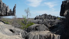 Madagaskar copyright piotr nogal 20191014_094942