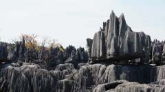 Madagaskar copyright piotr nogal 20191014_095541