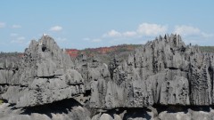 Madagaskar copyright piotr nogal 20191014_095903