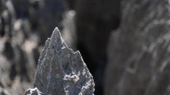 Madagaskar copyright piotr nogal 20191014_100608