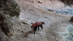 Madagaskar copyright piotr nogal 20191014_103341