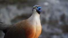 Madagaskar copyright piotr nogal 20191014_104109