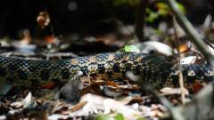 Madagaskar copyright piotr nogal 20191014_112621