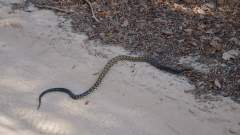 Madagaskar copyright piotr nogal 20191015_153934