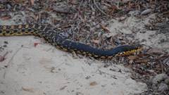 Madagaskar copyright piotr nogal 20191015_153941