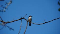 Madagaskar copyright piotr nogal 20191015_160630