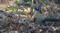 Madagaskar copyright piotr nogal 20191015_160756