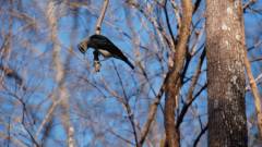 Madagaskar copyright piotr nogal 20191015_161047