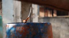 Madagaskar copyright piotr nogal 20191015_161636