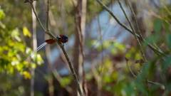 Madagaskar copyright piotr nogal 20191015_161849