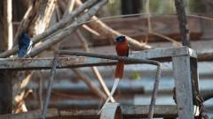 Madagaskar copyright piotr nogal 20191015_162416