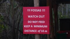 Madagaskar copyright piotr nogal 20191015_163703