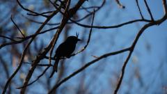 Madagaskar copyright piotr nogal 20191015_163823