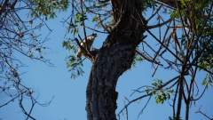 Madagaskar copyright piotr nogal 20191015_164026