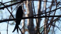 Madagaskar copyright piotr nogal 20191015_164300