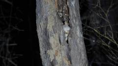 Madagaskar copyright piotr nogal 20191015_184459