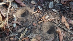 Madagaskar copyright piotr nogal 20191016_072716