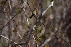 Madagaskar copyright piotr nogal 20191016_085355