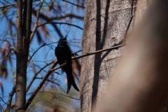 Madagaskar copyright piotr nogal 20191016_090054