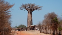 Madagaskar copyright piotr nogal 20191016_100053