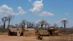 Madagaskar copyright piotr nogal 20191016_120203