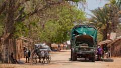 Madagaskar copyright piotr nogal 20191016_120440