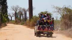 Madagaskar copyright piotr nogal 20191016_123115