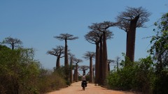 Madagaskar copyright piotr nogal 20191016_130722