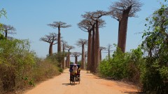 Madagaskar copyright piotr nogal 20191016_130846