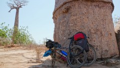 Madagaskar copyright piotr nogal 20191016_132445