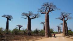 Madagaskar copyright piotr nogal 20191016_134107