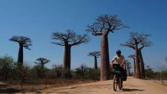 Madagaskar copyright piotr nogal 20191016_134330