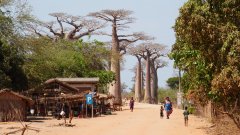 Madagaskar copyright piotr nogal 20191016_134752