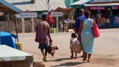 Madagaskar copyright piotr nogal 20191016_141328