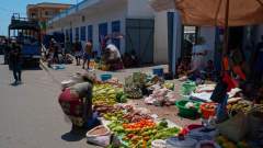 Madagaskar copyright piotr nogal 20191017_122718