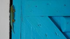 Madagaskar copyright piotr nogal 20191017_144829