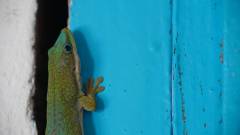 Madagaskar copyright piotr nogal 20191017_144939