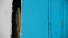 Madagaskar copyright piotr nogal 20191017_145031