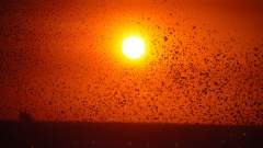 Madagaskar copyright piotr nogal 20191017_175344