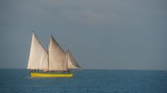 Madagaskar copyright piotr nogal 20191018_063903