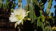 Madagaskar copyright piotr nogal 20191020_064351