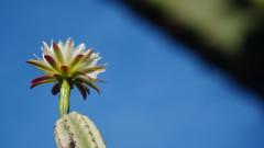 Madagaskar copyright piotr nogal 20191020_064418