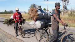 Madagaskar copyright piotr nogal 20191020_075649