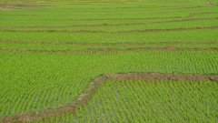 Madagaskar copyright piotr nogal 20191020_081004