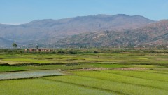 Madagaskar copyright piotr nogal 20191020_081012