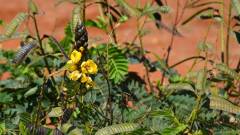 Madagaskar copyright piotr nogal 20191020_095753