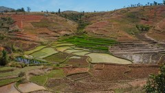 Madagaskar copyright piotr nogal 20191020_101721